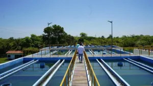 Más del 70% de usuarios de CEAS mantiene adeudos por el servicio de agua