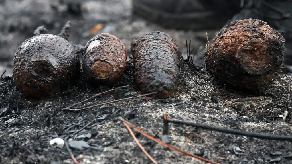 Incendio cerca de Burdeos deja al descubierto proyectiles de la Segunda Guerra Mundial