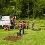 En septiembre abrirá plataforma para registrarse a la Jornada de Reforestación en Tabasco