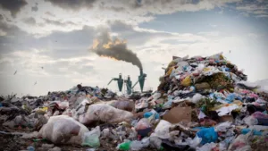 Cinco países amazónicos detienen a 839 personas por delitos ambientales