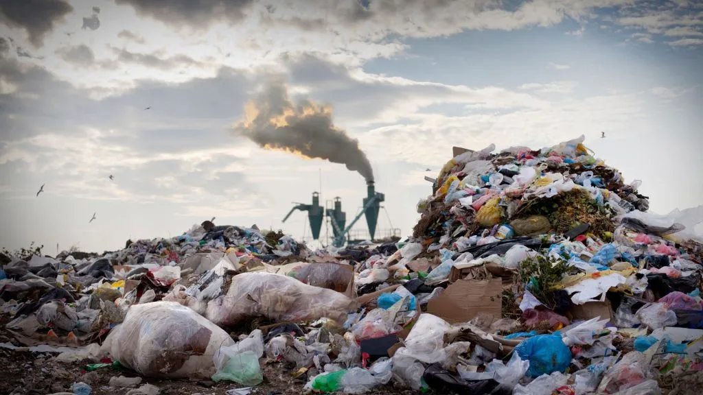 Cinco países amazónicos detienen a 839 personas por delitos ambientales