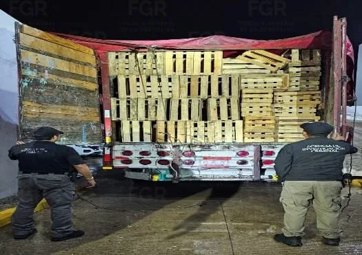 Vinculan a proceso a hombre por transportar más de una tonelada de marihuana en Tabasco