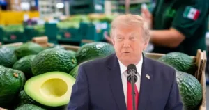 EU suspende temporalmente exportaciones de aguacate de Michoacán por alerta de seguridad