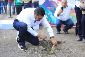 Tabasco participa en Jornada Nacional de Reforestación con 843 puntos y casi 2 mil personas