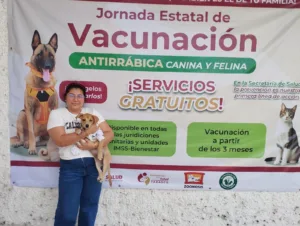 Esterilización gratuita suma más de mil 700 cirugías para perros y gatos en Tabasco