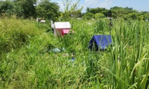 Panteón rural de Tenosique permanece entre el monte y en condiciones de abandono