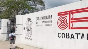 COBATAB prevé contratación de maestros para la próxima semana
