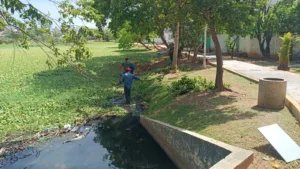 Jóvenes realizan limpieza de la laguna El Jícaro en Nueva Villahermosa