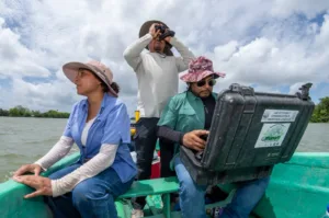 Documental sobre manatíes realizado por talento tabasqueño llega a festival de cine