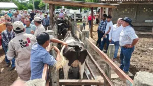 Ofrecen vacantes a egresados de Medicina Veterinaria de la UJAT para barrido sanitario