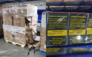 Aseguran más de 2 millones de cigarrillos apócrifos en el AICM