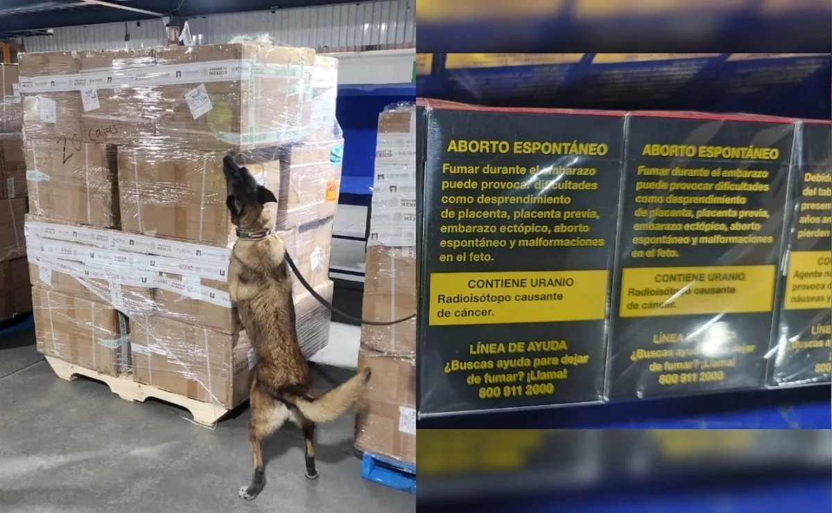 Aseguran más de 2 millones de cigarrillos apócrifos en el AICM