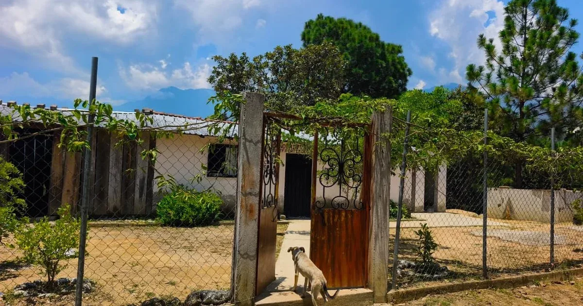 Más de 100 familias abandonan sus hogares por violencia en la sierra de Chilpancingo