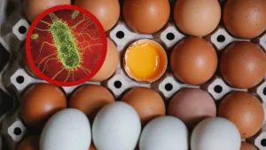 Retiran 19 millones de huevos en EU por riesgo de contaminación con salmonela