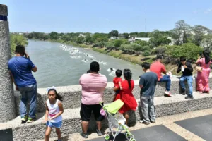 Familias vuelven a las riberas del Grijalva para disfrutar la Gran Carrera Motonáutica