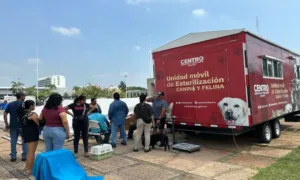 Unidad Móvil de Centro supera las 4 mil esterilizaciones de perros y gatos