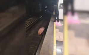 94 paraguas han caído a las vías del Metro CDMX durante 2026
