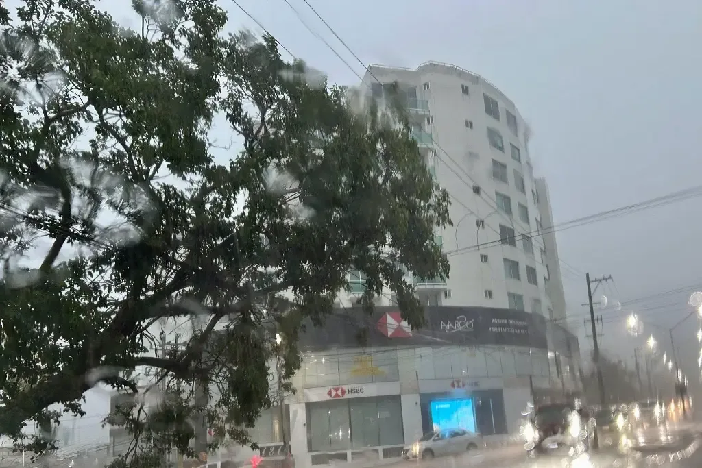 Otro árbol colapsa en Pagés Llergo tras las lluvias en Villahermosa
