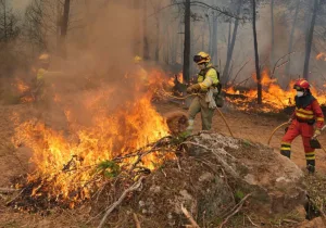 Incendio al oeste de Madrid obliga a confinar a más de 3 mil personas