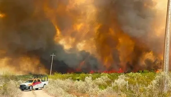 Incendio forestal consume más de mil hectáreas en Jiménez, Tamaulipas