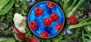 Tabasco permanece sin casos de ciclosporiasis, confirma la Secretaría de Salud