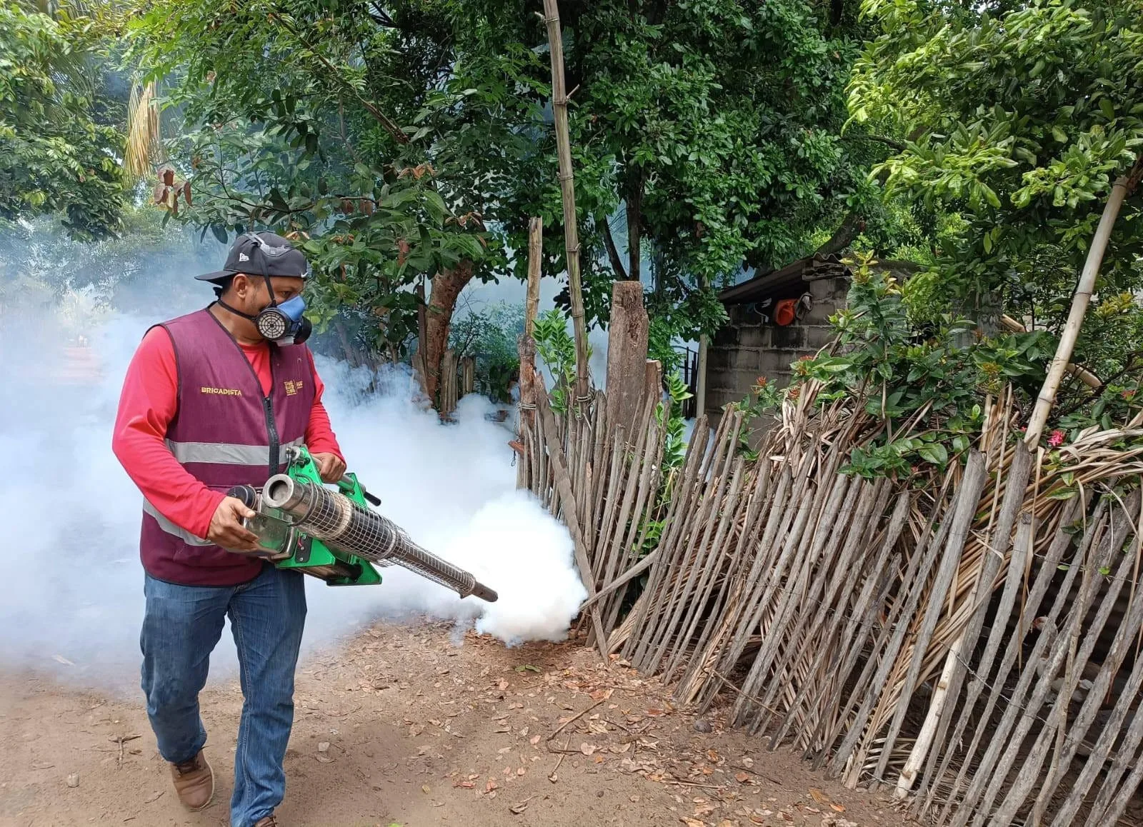 Teapa concentra la mayor incidencia de dengue en Tabasco