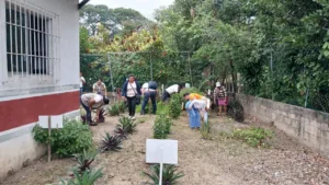 “Farmacia de la Vida” lleva plantas medicinales a comunidades de los Pantanos de Centla