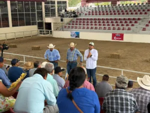 Acercan a pequeños ganaderos de Tabasco al mejoramiento genético del ganado Cebú
