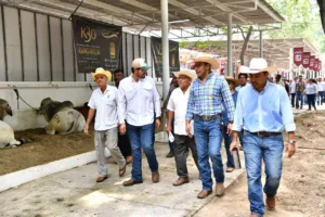 Productores conocen genética bovina para fortalecer sus hatos en Tabasco