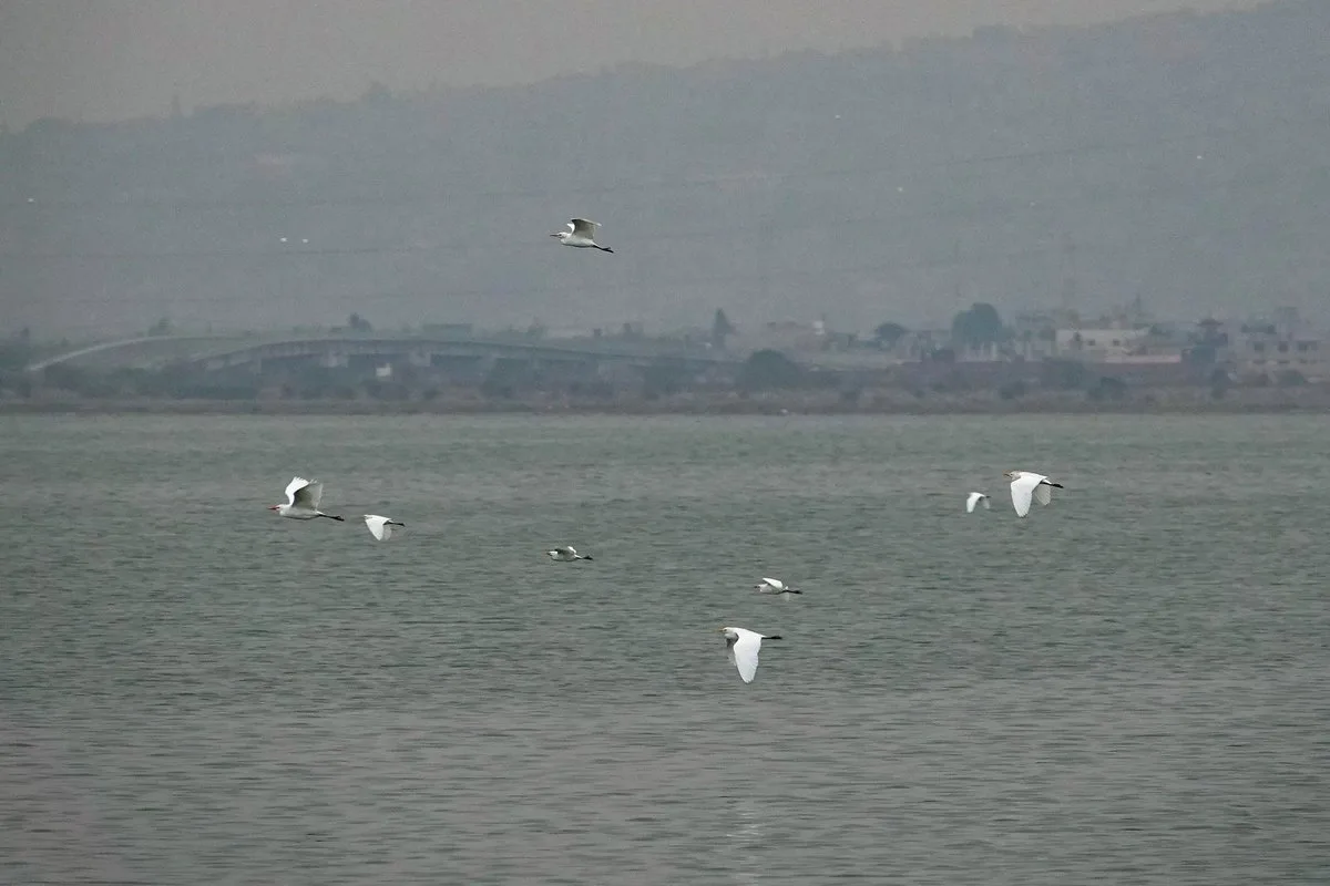 ONU alerta por deterioro de los lagos ante contaminación y cambio climático