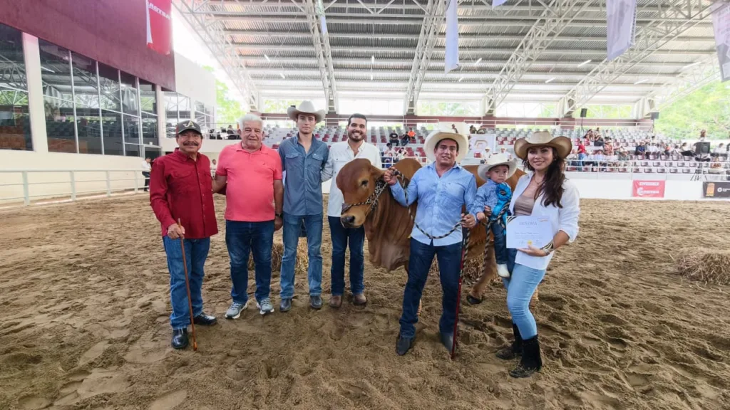 Tabasco reúne a lo mejor del Cebú y fortalece su liderazgo ganadero