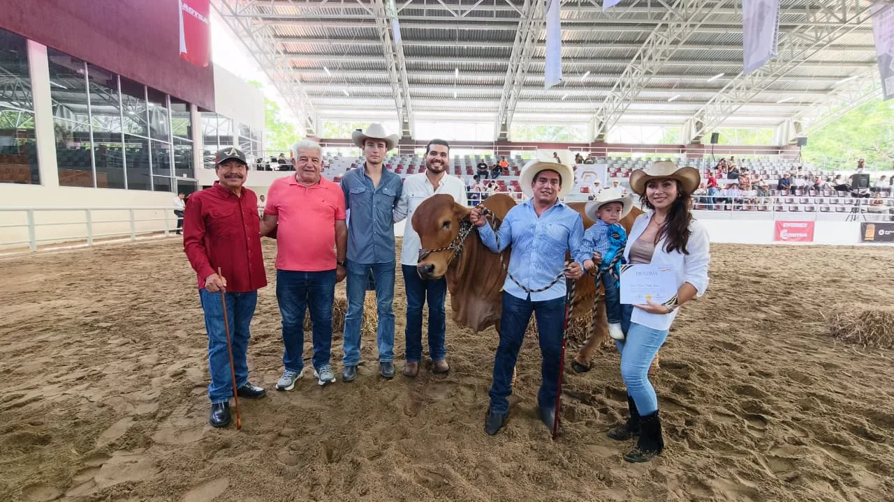 Tabasco reúne a lo mejor del Cebú y fortalece su liderazgo ganadero