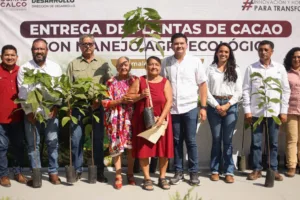 Entrega Ovidio Peralta 26 Mil Plantas de Cacao Libres de Agroquímicos a Productores de Comalcalco