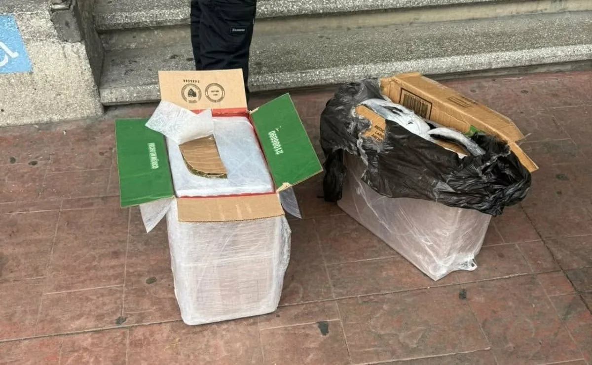Detienen a pareja que intentaba enviar 28.5 kilos de mariguana por paquetería