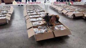 Semar detecta cargamento de café contaminado con cocaína en el AICM