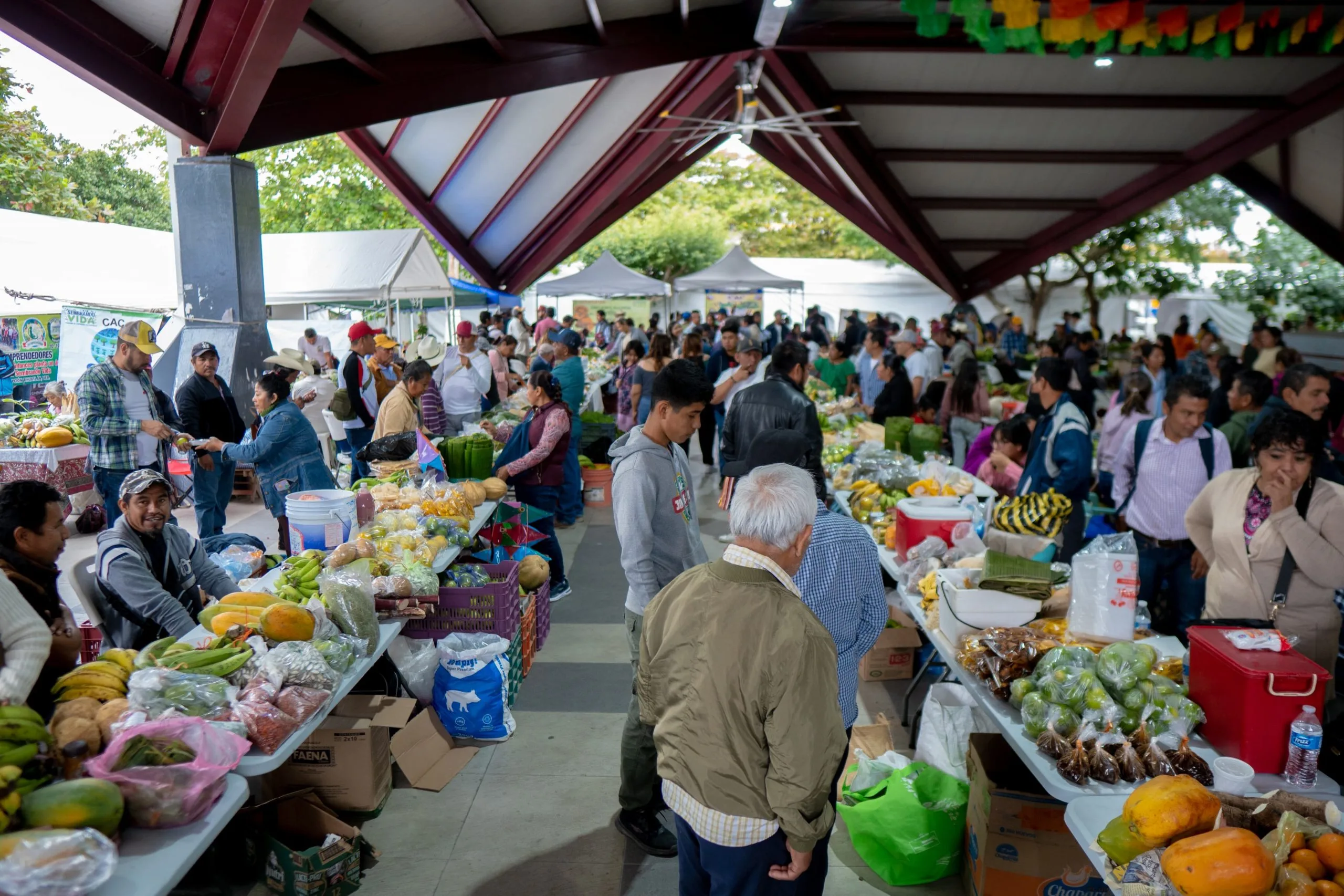 Tianguis Campesino de Comalcalco fortalece actividades culturales y economía local
